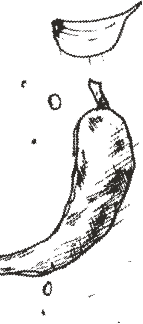 img3